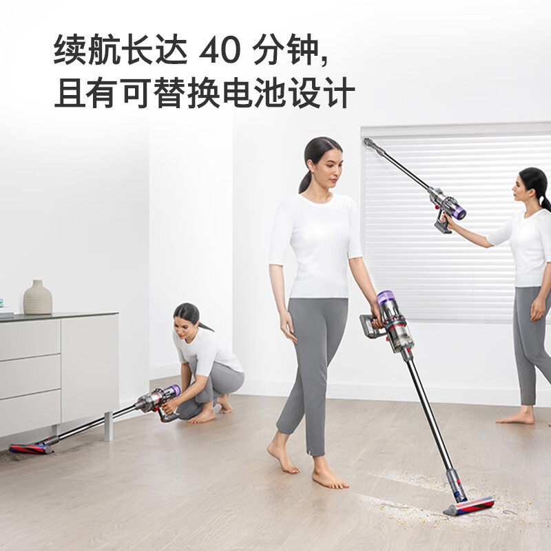 戴森(DYSON) V10 Digital slim 无绳吸尘器[铁镍色]手持无线吸尘器 除螨 宠物 家庭适用高清大图