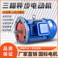 九天星(X) 三相异步电动机 Y/YE2/YE3-132S2-2 7.5KW-外壳定制
