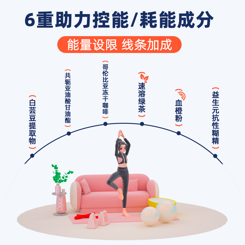 九港集团 高蛋白低脂白芸豆蛋白粉固体饮料 300g/罐