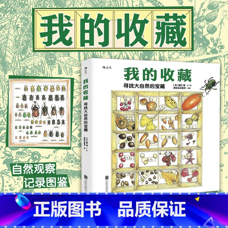 【正版】 我的收藏 寻找大自然的宝藏 6至12岁小学生儿童植物动物科普百科书籍大全 读物绘本课外图画书