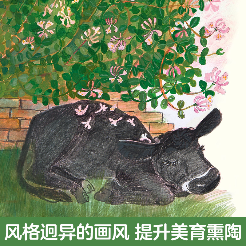 3册┇培养自信力┇ 精装绘本 [正版]精装绘本 儿童绘本3到4-6岁读物幼儿园阅读绘本儿童故事书睡前阅读自信想像力情商培