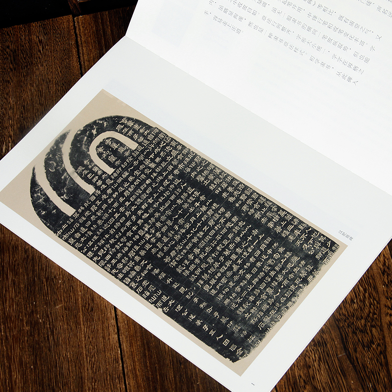 [醉染正版]汉 肥致碑 名碑名帖经典系列 隶书字帖临摹赏析书法篆刻 洪亮主编 天津人民美术出版社正版图书高清大图