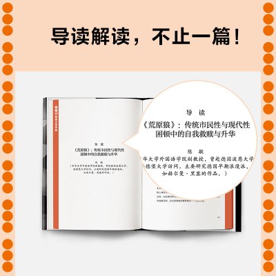 荒原狼 (德)赫尔曼·黑塞 著 文泽尔 译 文学 文轩网