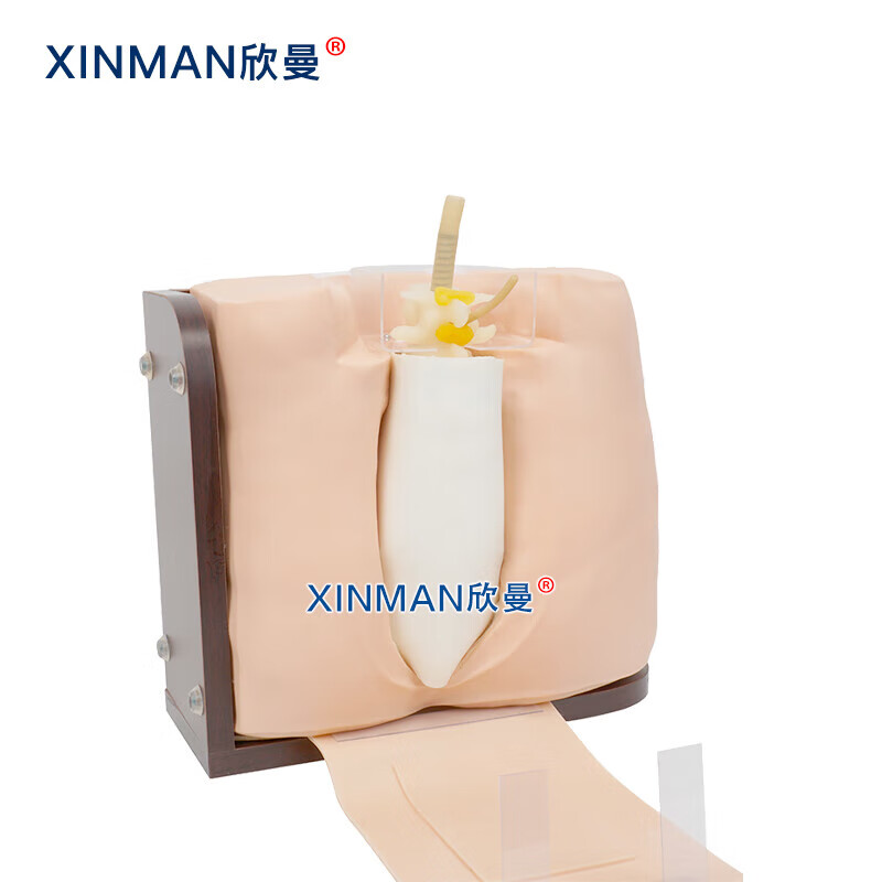 欣曼科教 椎管内麻醉腰椎穿刺模型 脊椎穿刺模拟人XM-YC03高清大图