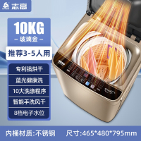 志高(CHIGO)8.210KG全自动洗衣机家用小型大容量波轮租房宿舍用洗烘一体_7金色10KG上烘干玻璃盖板