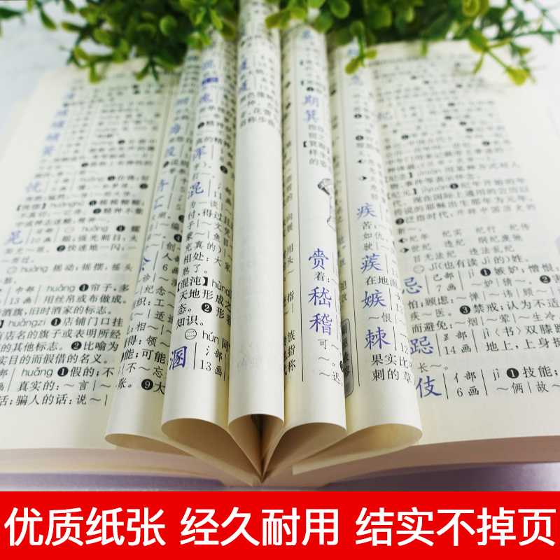 [正版]新版 新编学生字典第1版双色本 人民教育出版社第一版中小学生便携词语字典人教版 新版字典词典精装工具书高清大图