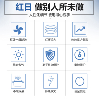 红日(RedSun)E002C红外线天然气灶液化气灶燃气灶双灶不锈钢面板台嵌两用(液化气)
