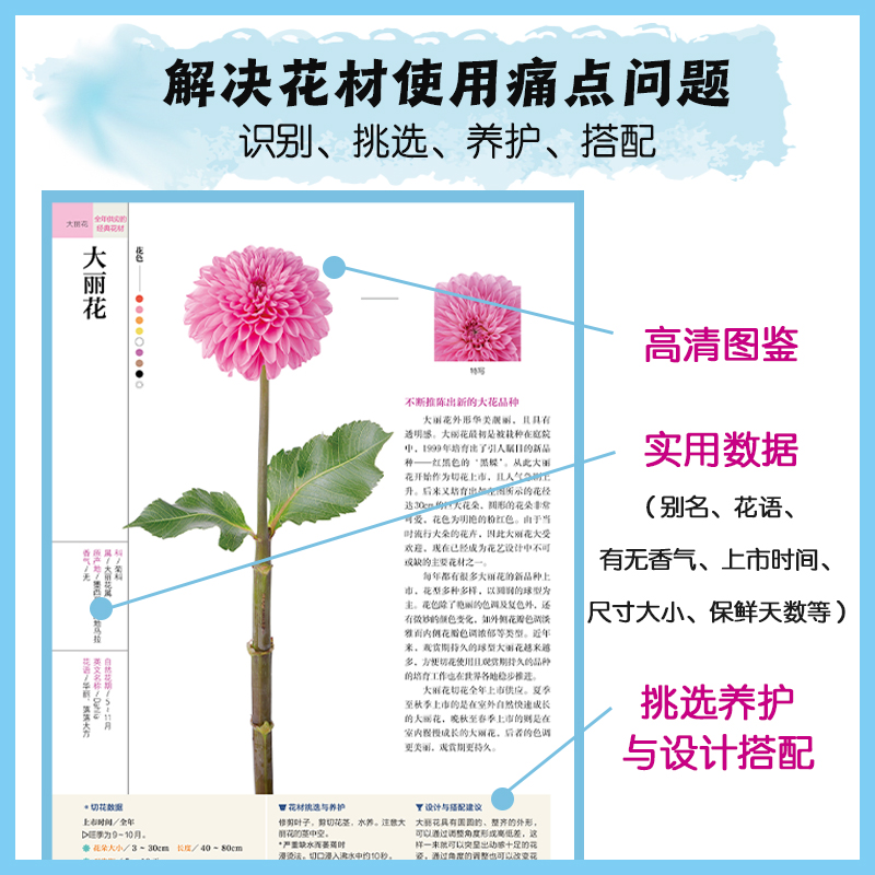 [正版]花艺设计花材使用手册 赵大发花艺师b备书籍 花材应用速查手册花艺设计零基础 花店实用手册花材养护搭配一本通花艺高清大图
