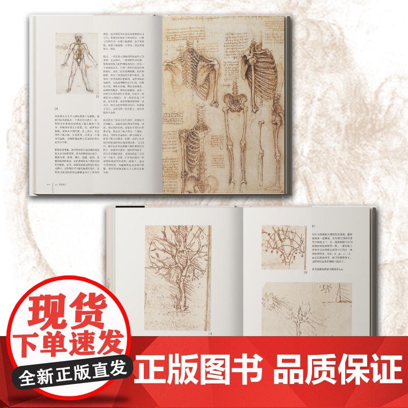 达·芬奇笔记 (第二版))精装[意]达·芬奇 著,杜莉 译金城出版社解密意大利声名卓著的艺术大师人类历史上罕见的全才高清大图