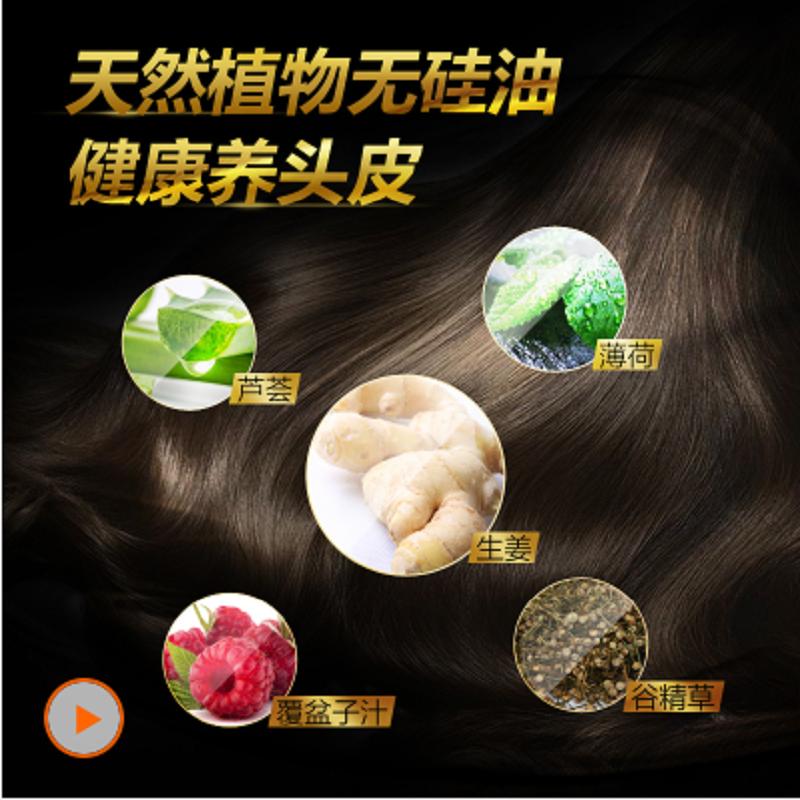 滋源(SEEYOUNG) 生姜强根健发洗头水洗发水535ml(中干性 油性)(单位:瓶)