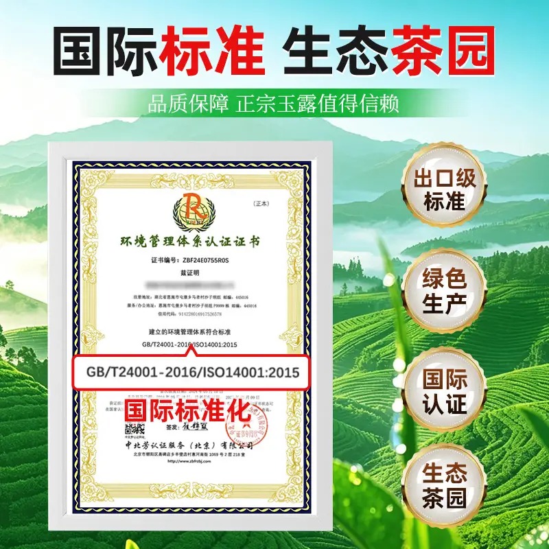 茶马世家恩施玉露恩施硒茶一级好时光绿罐80g高清大图