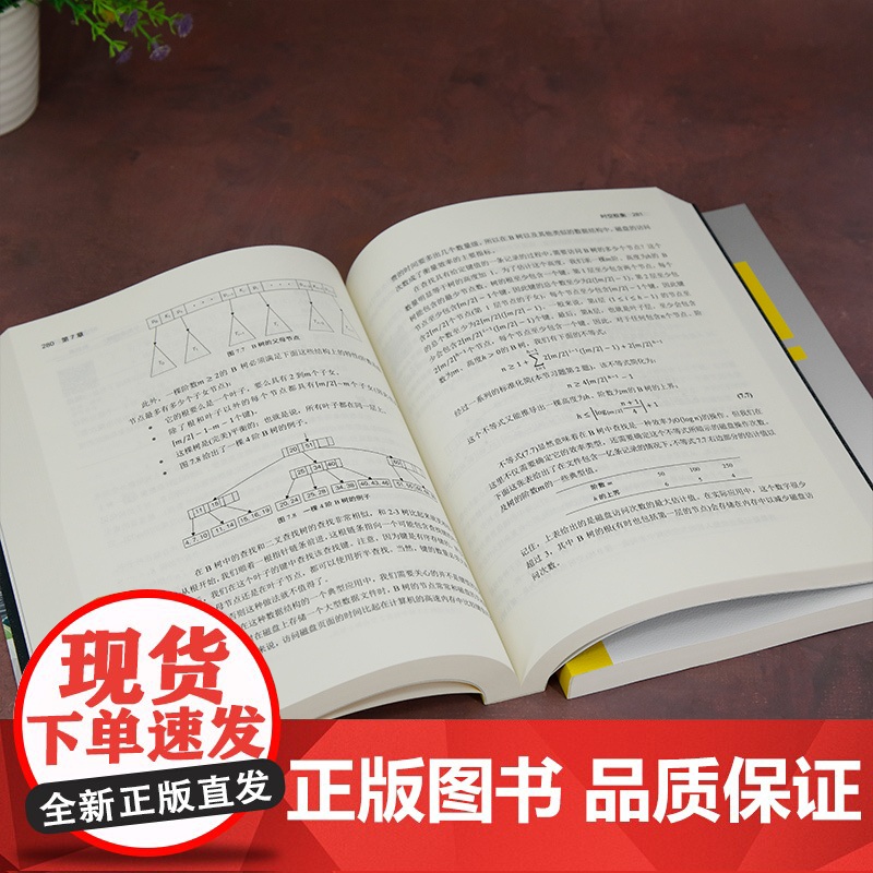 正版新书 算法设计与分析基础(第3版 详解版) [美] 阿纳尼 · 乐维汀 著;云鹤 译 清华大学出版社 算法分析高清大图