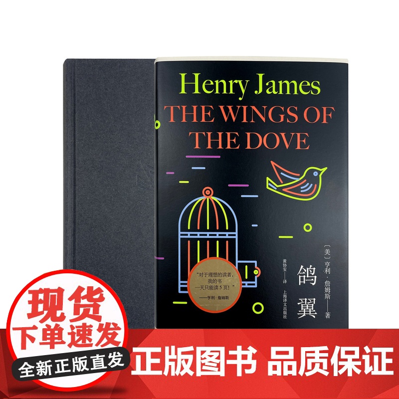 鸽翼 [美]亨利·詹姆斯 黄协安 译 意识流 心理分析 “国际主题”的小说 小说艺术 上海译文出版社 正版高清大图