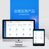 金蝶(kingdee)云财务软件 在线会计代账专版个人公司代账管理财务记账 ERP 精斗云 1用户20账套