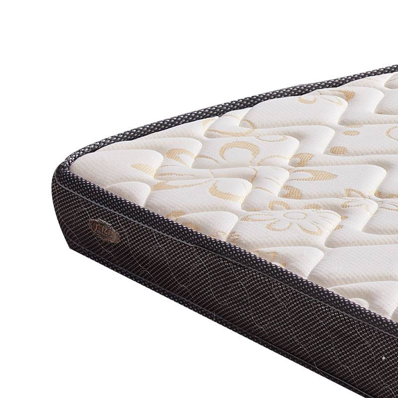 广亿隆宿舍公寓棕垫床垫高清大图