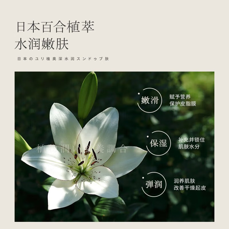 沃莱 FG2313UWB 智能体脂秤 白色高清大图