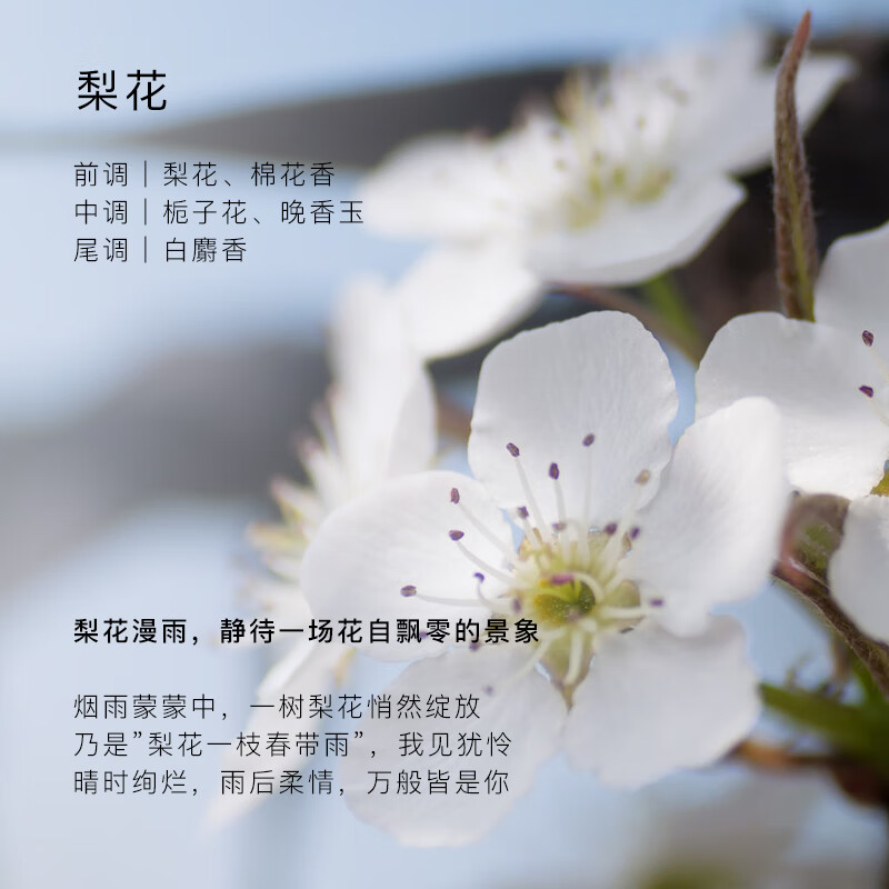 东方宝石 修护香氛洗发水(柔情花香)300ml高清大图