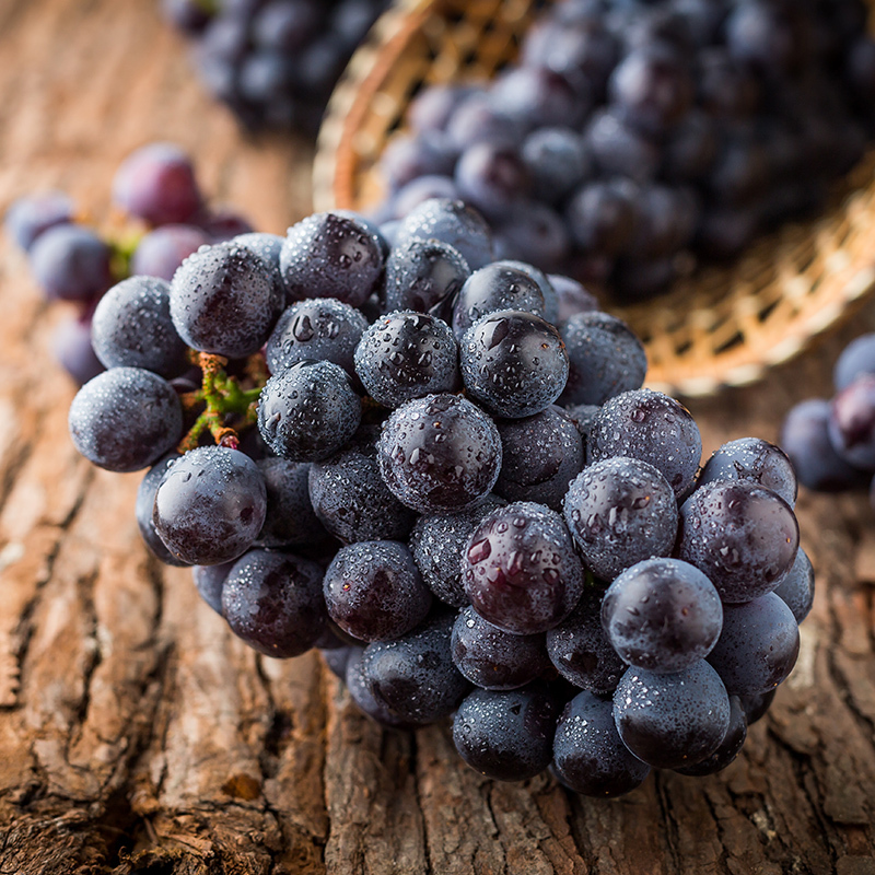 云南夏黑葡萄4斤 新鲜水果 黑加仑新鲜奶茶专用水果