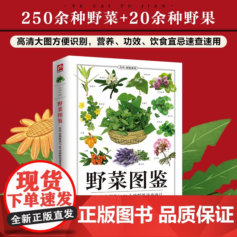 野菜图鉴 全新图解版高清大图