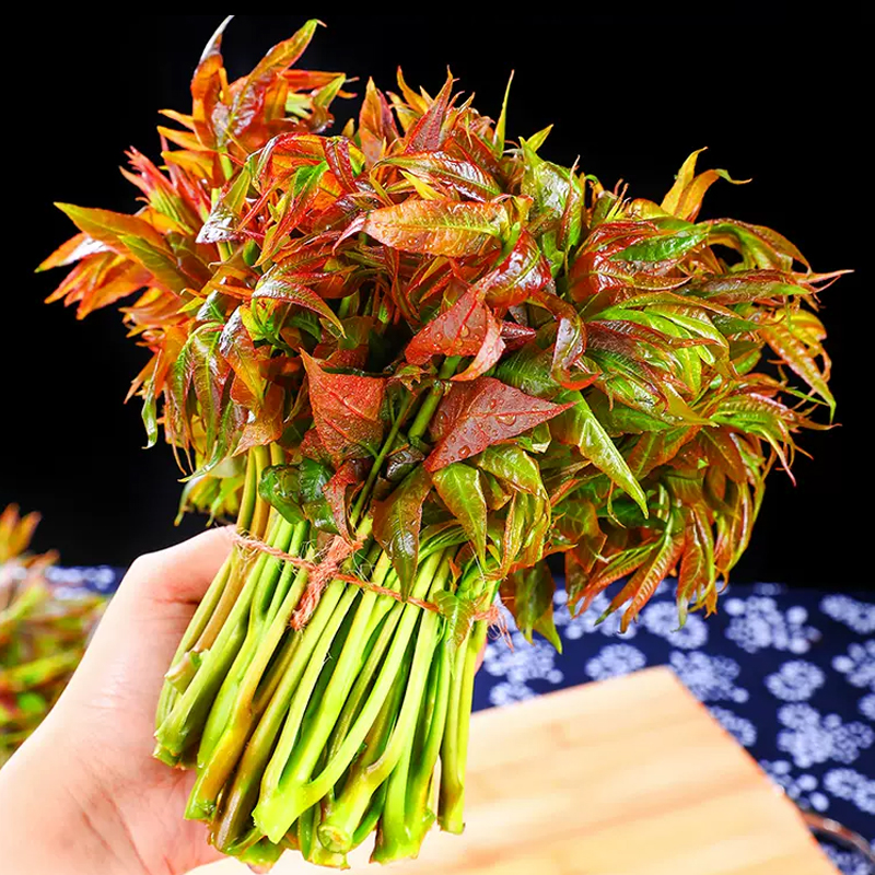 [西沛生鲜]云南头茬绿香椿芽新鲜 2斤 现摘红油香椿春芽菜当季时令蔬菜整箱高清大图
