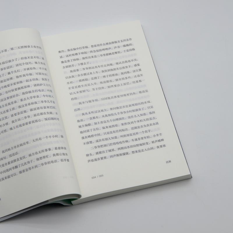 迟湖 [正版]迟湖 黄昶短篇小说集上海文艺出版社真金青年文学写作总冠军作品集中国当代文学图书籍 苏童张定浩杨庆祥张菁