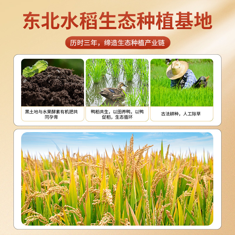 邻家饭香 YF119 凤凰来仪款东北大米 5kg(单位:袋) 真空包装高清大图