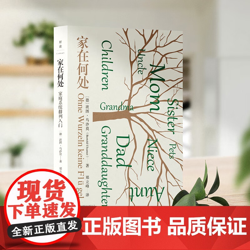 家在何处 家庭系统排列入门 波图·乌沙莫 著 心理学高清大图