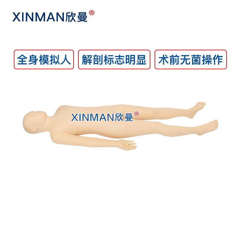 欣曼科教 高级全身术前无菌消毒铺巾操作训练模型 手术前准备模拟人 XM-LV19B高清大图