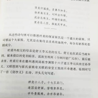 [正版]富贵于我如浮云 杜甫诗传 水恋珠 中国古诗词中国古典文学名著古典浪漫中国文学诗词中华历代诗词大全集国学诗歌经典书