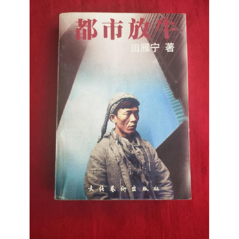 正版新书】田雁宁文集(5):都市放牛田雁宁9787503915086