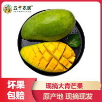 [五个农民] 大青芒 新鲜芒果9-9.5斤装 精选单果500g+