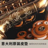 Rollinsax罗林斯中音萨克斯乐器 RSA-X3 正品成人降e调 黄铜萨克斯管/风