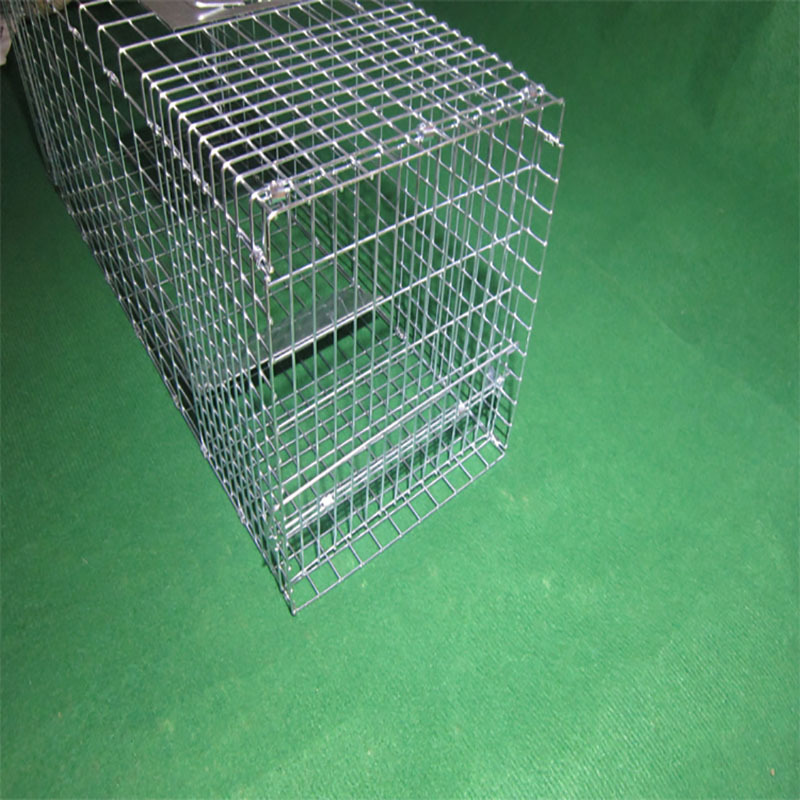 黄鼬笼捕老鼠笼铁丝笼单门笼子65x17x11cm单只装