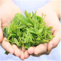 供销福茶.福建白茶88g/罐*2