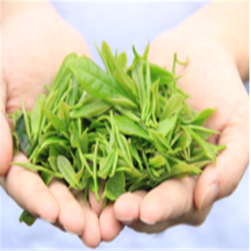 供销福茶.福建白茶88g/罐*2