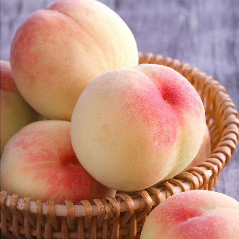北京奥运专供桃正宗无锡阳山水蜜桃稀少品种湖景甜美爆汁可以吸的