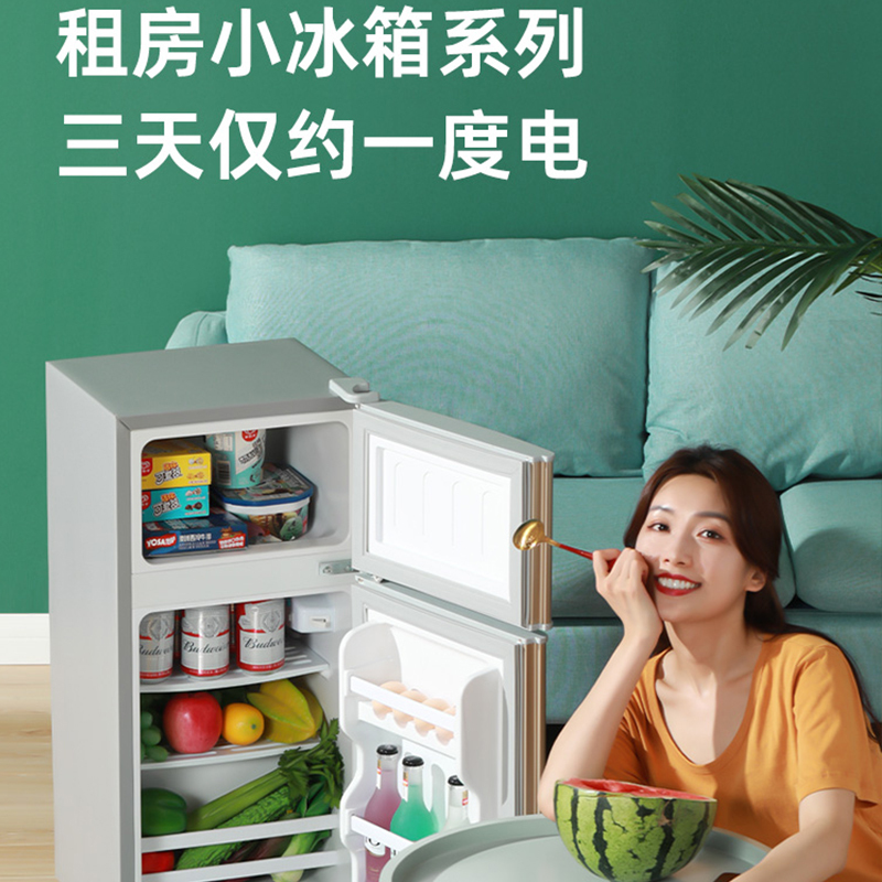 志高1348小家用小型双门冷藏冷冻省电节能宿舍冰箱