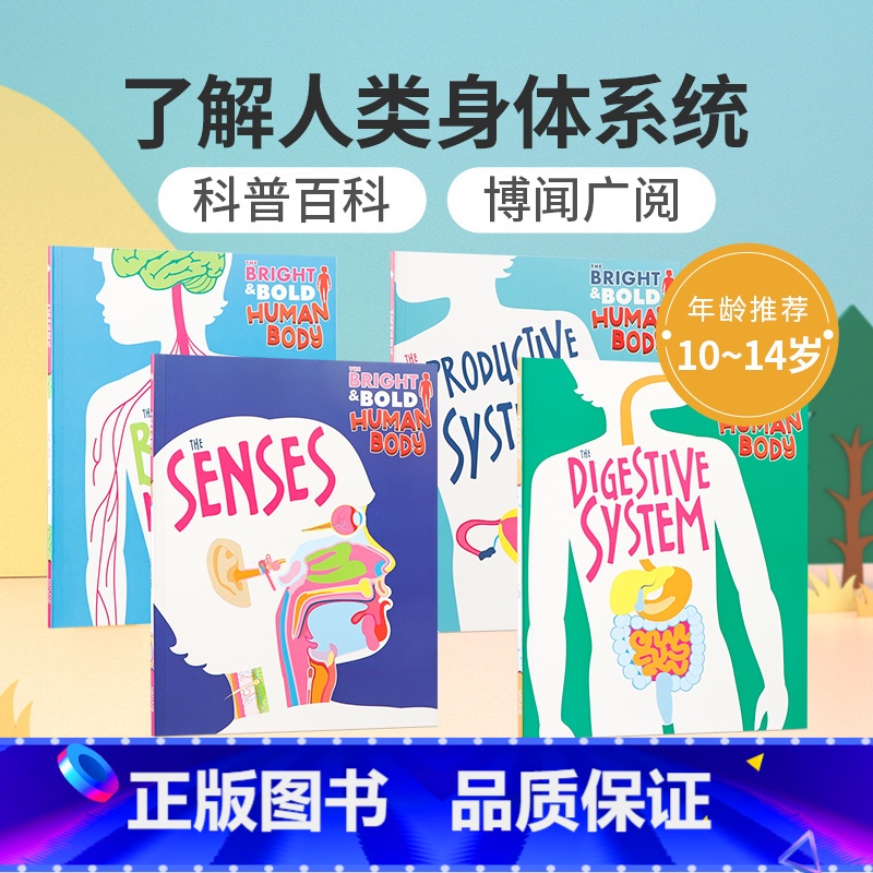 [正版]英文原版 感官 神经 消耗 生殖系统 The Bright & Bold Human Body 人类身体循环高清大图