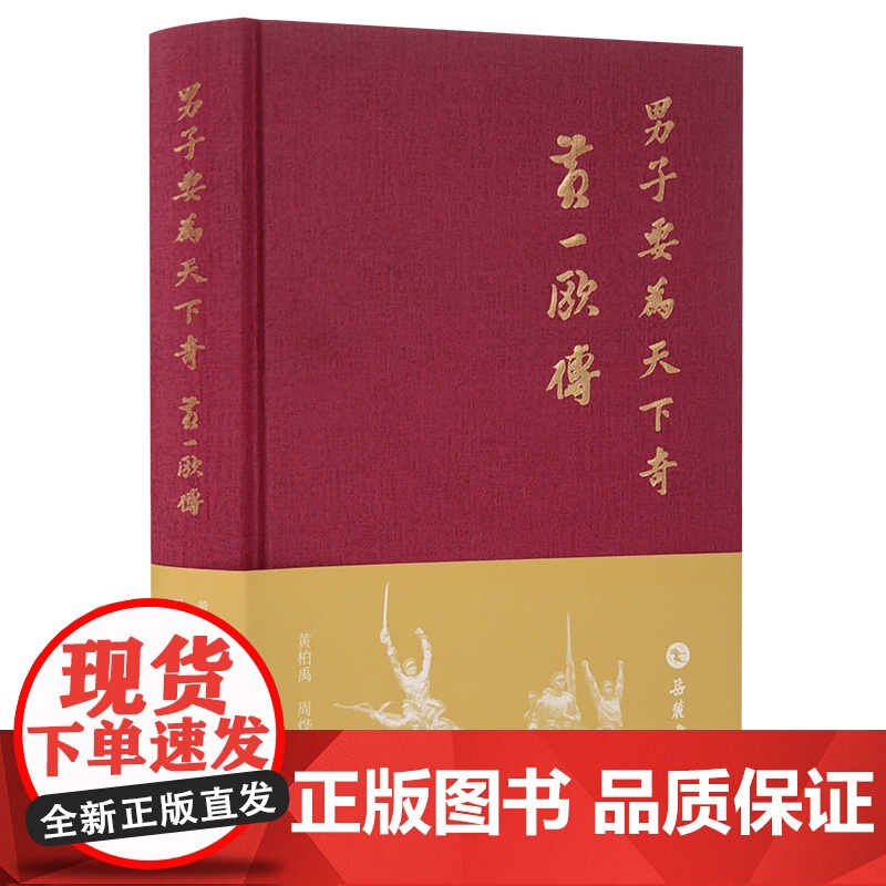 男子要为天下奇:黄一欧传高清大图