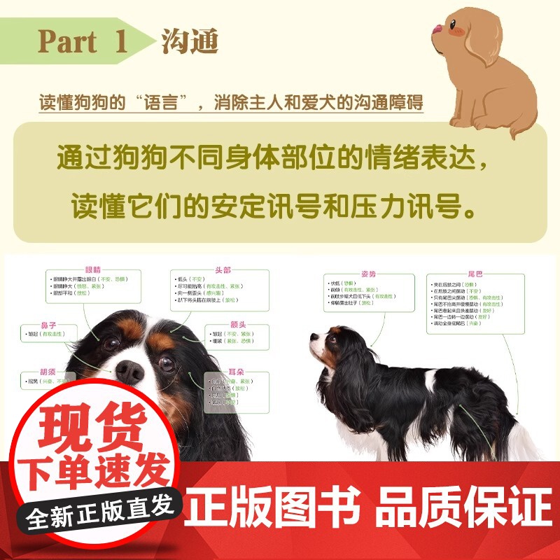 宠物狗美容图解教程:清洁、护理、造型正版书籍高清大图