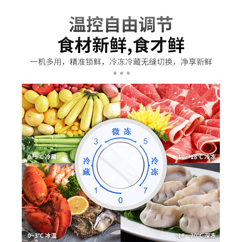 穗凌(SUILING)275升商用小展示冷柜 地摊便利店小卖部雪糕啤酒饮料展示雪柜 单温卧式冷藏冷冻冰 WD4-275K