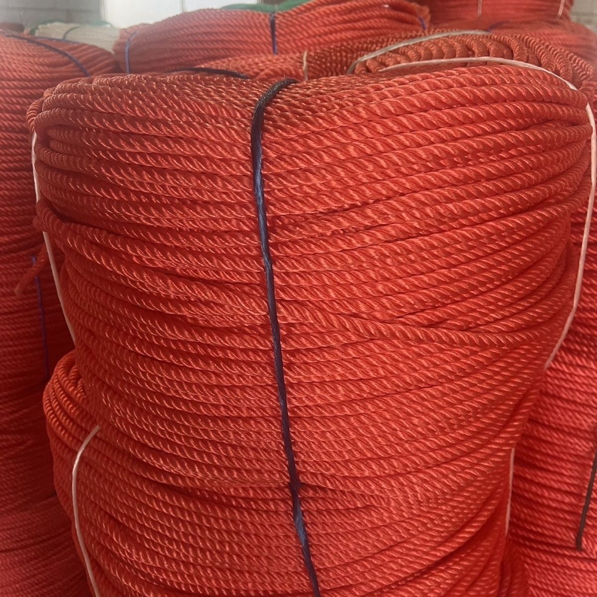 欣欣妍宸 尼龙绳 8mm/米高清大图