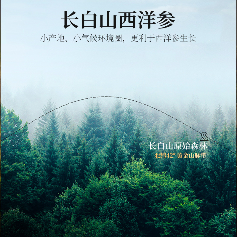 150g礼盒石斛西洋参双拼 石斛西洋参年货送礼铁皮石斛五年生铁皮石斛过节礼品 枫斗官方旗舰店高清大图