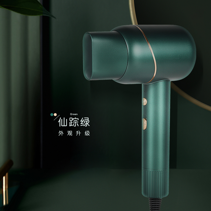 金稻负离子护发吹风机大功率家用电吹风筒宿舍学生静音速干不伤发魅紫色
