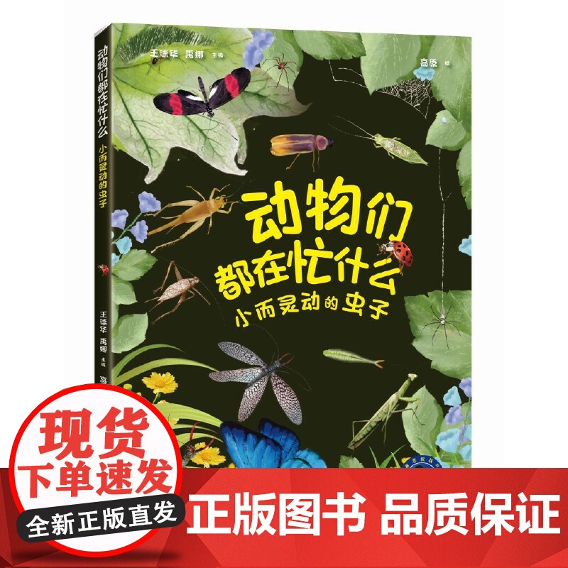 动物们都在忙什么:小而灵动的虫子(“赛思叔叔的十万个为什么”丛书)高清大图