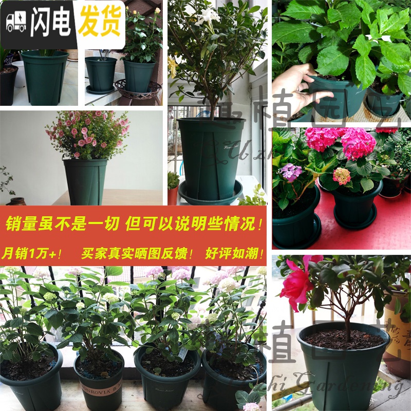 三维工匠国产青山盆控根花盆不窝根月季铁线莲加仑盆适合月季玫瑰树脂花盆 [5个装]12cm控根(盆+托) 大花盆容器高清大图