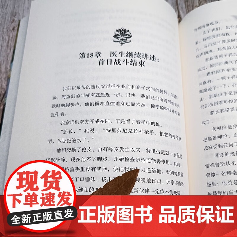 我爱读经典 金银岛 9-12岁 罗伯特·史蒂文森 著 儿童文学高清大图