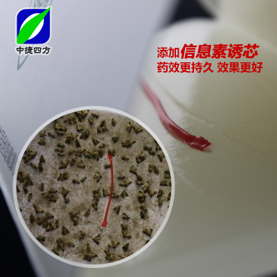 诱尔米面蛾诱捕器除灭驱粉斑螟谷螟飞蛾米虫蛾子小飞虫防捕粘板器 2片装带芯加强型 一盒
