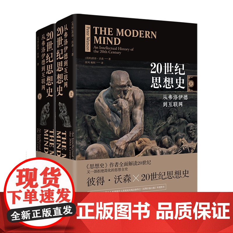 彼得沃森作品集套装 思想史+20世纪思想史+大分离共3册5本套装 哲学知识读物科学哲学和人文学科的起源 译林出版社店高清大图