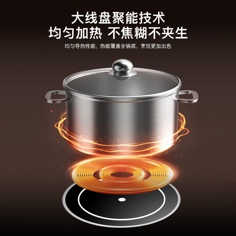 [铜电双头]德鲁纳(DELUNA)嵌入式电磁炉双灶4800W猛火大功率纯电电磁灶家用镶嵌式台式电池炉图片